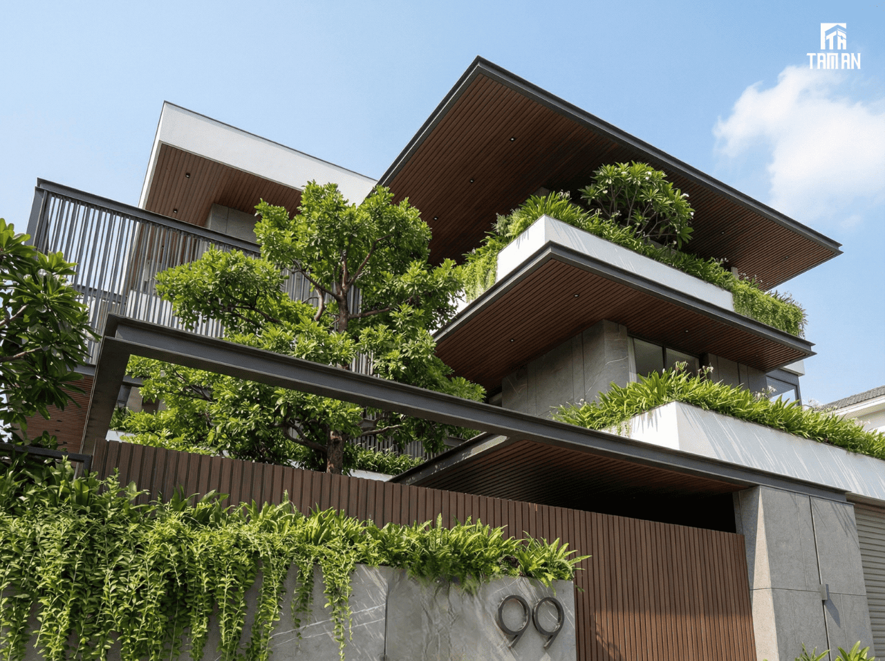 Cây cối là tấm lá chắn nhiệt, bụi bẩn và tiếng ồn