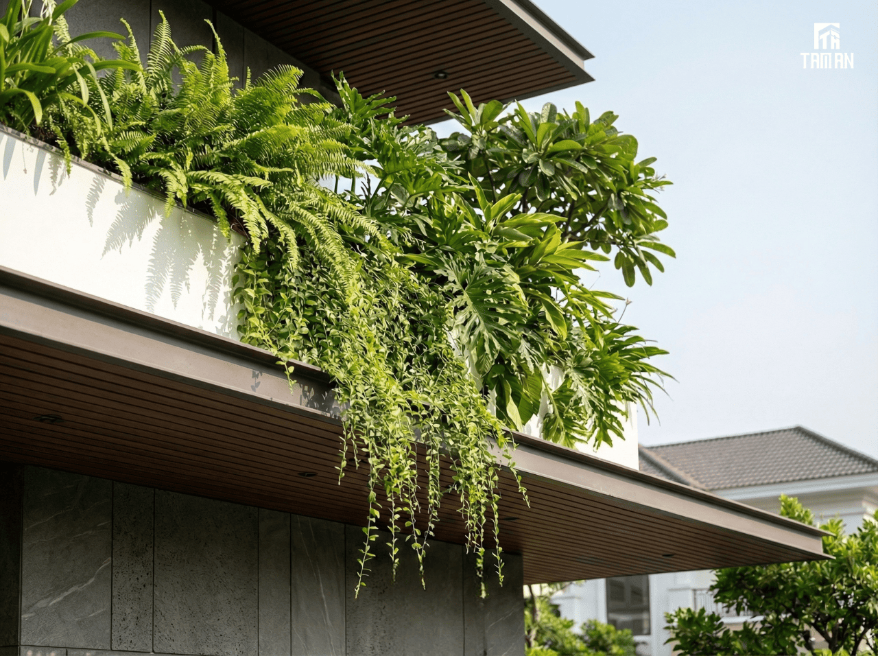 Các loại cây được tuyển chọn sao cho phù hợp với đường nét thiết kế của căn nhà